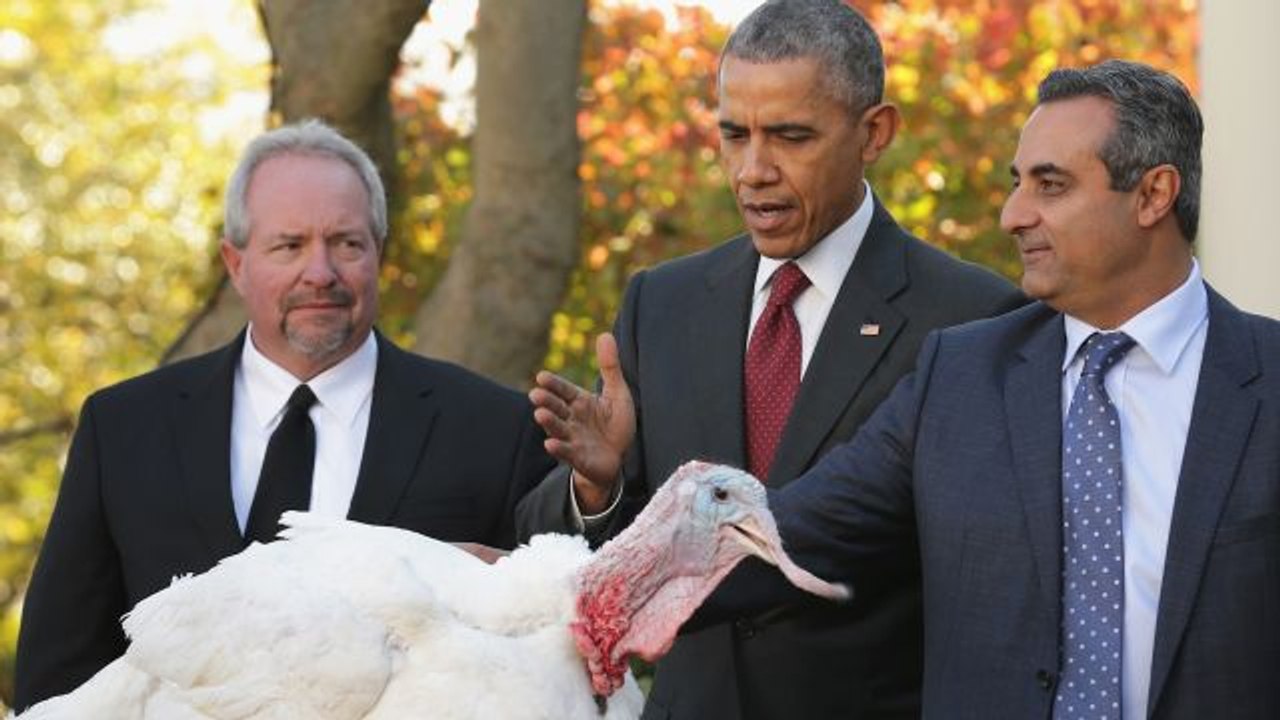The Real Story Behind Presidential Turkey Pardons