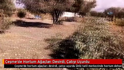 Çeşme'de Hortum Ağaçları Devirdi, Çatıyı Uçurdu