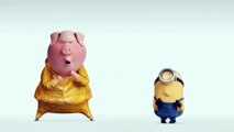 Learn Colors With PIG SING & MINIONS DANCE Funny Videos - Learn Colors For Kids - 3D CARTOON BABY