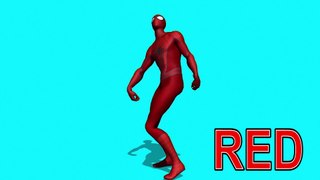 Learn Colors With SPIDERMAN Funny Videos - Learn Colors For Kids - 3D CARTOON BABY