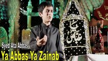 Syed Ata Abbas - Ya Abbas Ya Zainab