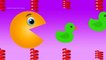 Learn Colors Pacman for Babies Kids - Spring Colors Packman - Fun Learning Colours Videos for Kids