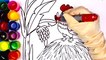 Learn Colors With Rooster Drawing and Coloring Pages Chicken   Drawing and Art Colors for Kids