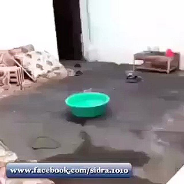 funny video of arbi trying to swim bt in a tub
