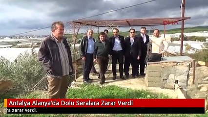 Antalya Alanya'da Dolu Seralara Zarar Verdi