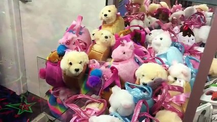 SO MANY FIDGET SPINNERS TO WIN AT THE ARCADE! CAN I WIN THEM ALL??? (ClawBoss)