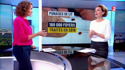 Maison : comment se débarrasser des nuisibles ?