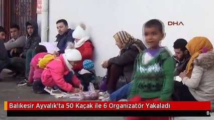 Balıkesir Ayvalık'ta 50 Kaçak ile 6 Organizatör Yakaladı