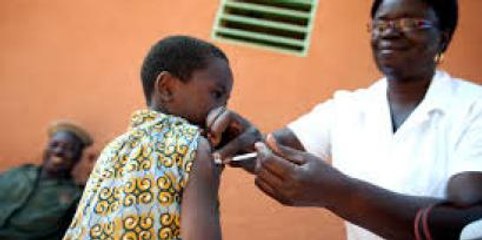 Préparer ses propres cubes alimentaires pour limiter sa consommation de sel