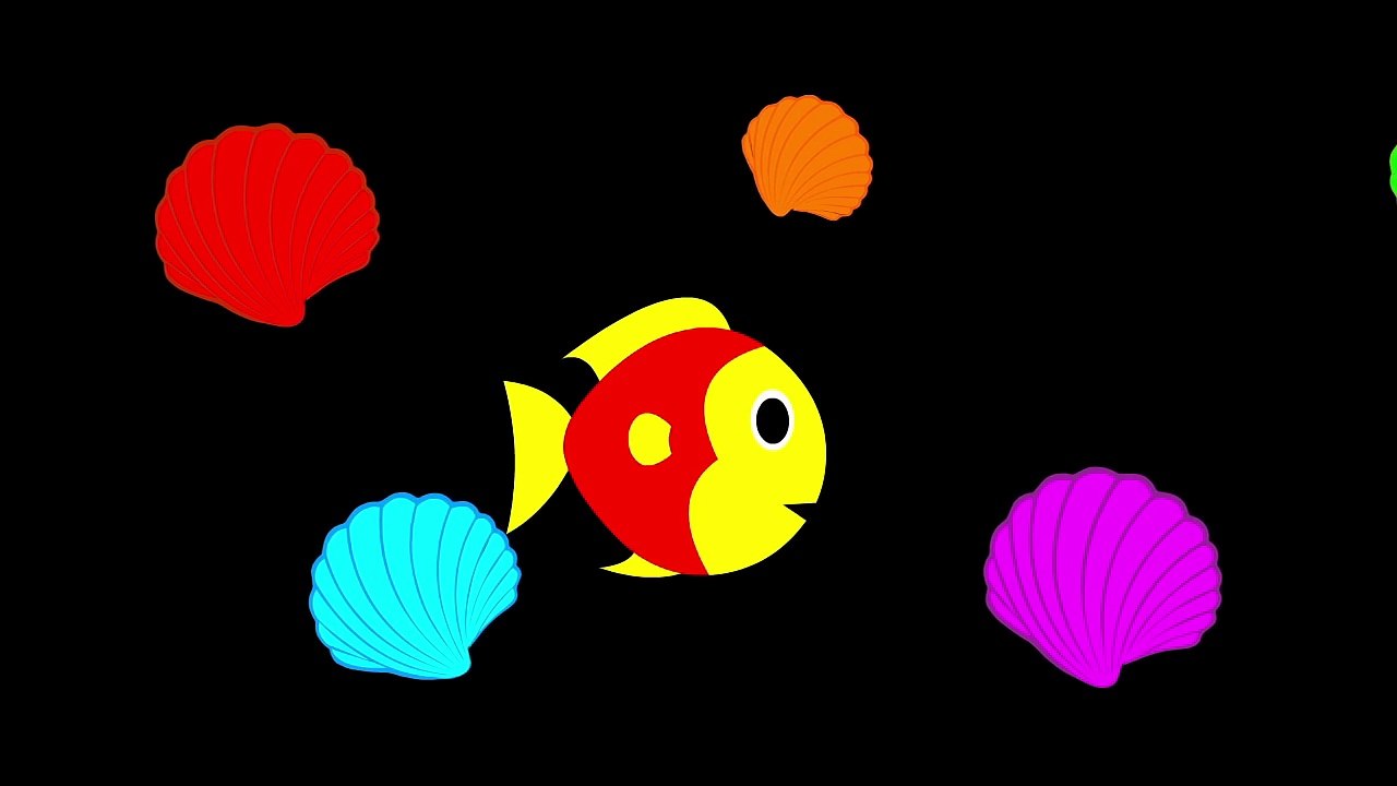 Baby Sensory | 33 mins Compilation | Water Animals & Sea Adventures (Video for Baby)
