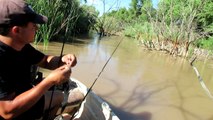 Fishing For Catfish
