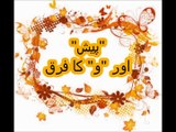 Aao Urdu Seekhein, Learn Urdu for kids class 2 and beginners, L  38, Urdu grammar, اردو گرامر پیش اور و
