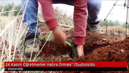 24 Kasım Öğretmenler Hatıra Ormanı" Oluşturuldu