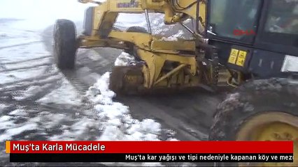 Muş'ta Karla Mücadele