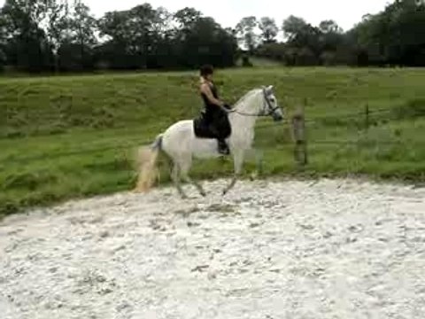 Galog main droite équitation