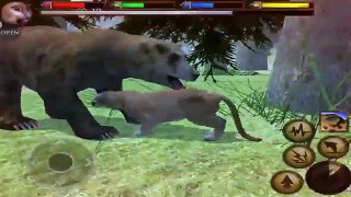 Ultimate Forest Simulator - Cougar : Raise a Family - Android/iOS - Gameplay Episode 11