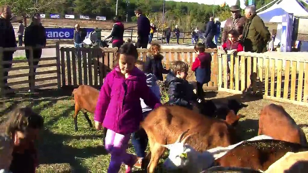 Journée pastorale à Istres