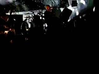 Calogéro " Drôle d'animal "