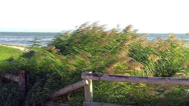 Le mistral souffle sur la région martégale