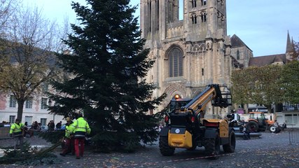 Installation des sapins de Noël à Lisieux