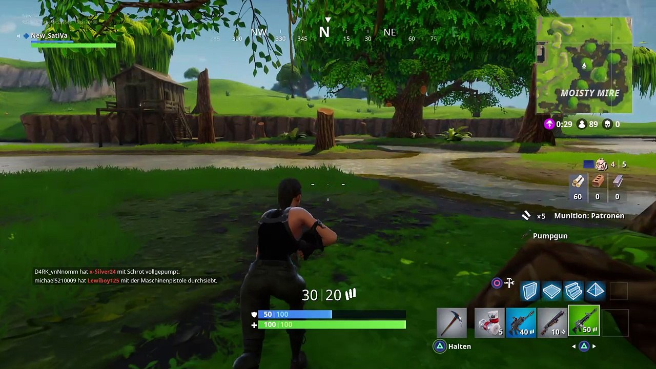 Fortnite_20171120172145