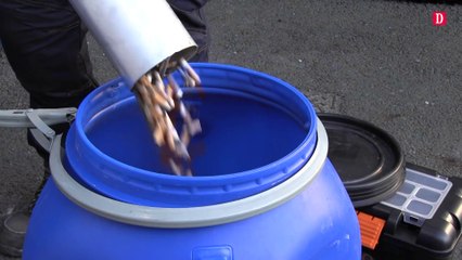 Un nouveau collecteur pour recycler les mégots à Castres