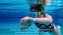 Swimming with dolphins in virtual reality