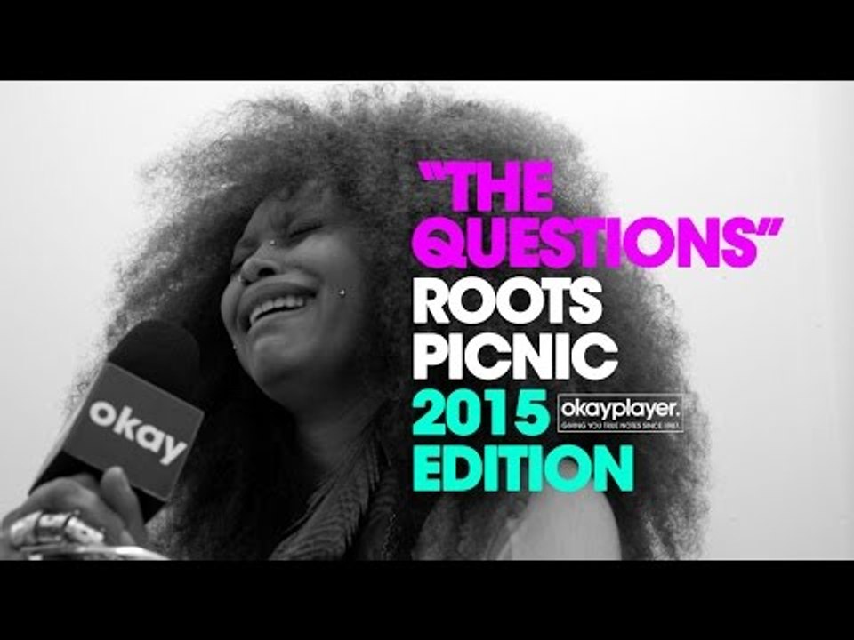 Roots Picnic Interviews (The Questions) 2015