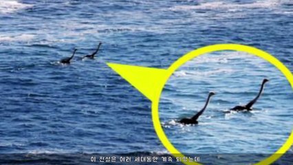 실제 카메라에 찍혀버린 심해 생명체