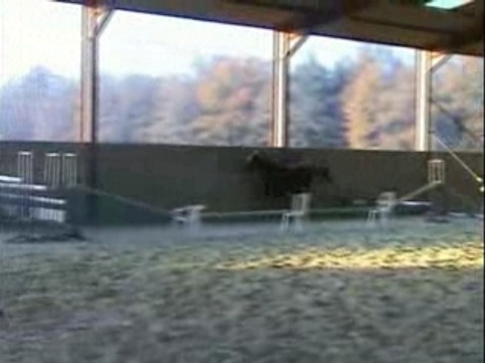 VIDEO LINA
