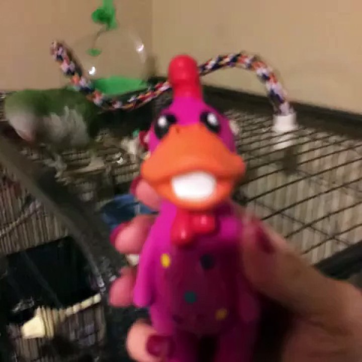 Quand tu fais de bonnes imitations