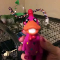 Quand tu fais de bonnes imitations