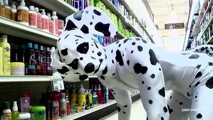 Quand je me balade oklm