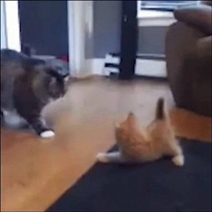 Quand tu ne fais pas le poid