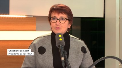 Christiane Lambert (FNSEA) prône "une reconduction du glyphosate plutôt de 5 ans que de 3 ans"