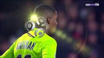 All Goals France  Ligue 1 - 20.11.2017 Amiens SC 3-0 Lille OSC