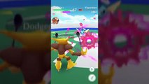 Pokémon GO Gym Battles Level 8 Charmeleon Meganium Muk Tyranitar Blastoise Charizard Venusaur & more