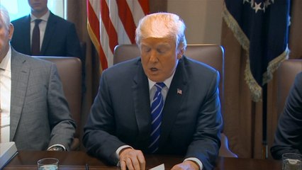 Donald Trump designates North Korea 'a state sponsor of terrorism'