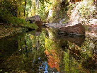 WANDERLUST! Best hikes to see fall colors in Arizona - ABC15 Digital