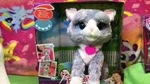 *NEW* Bootsie My Cuddly Kitten Cat FurReal Friends Interive Toy Game Playing QuakeToys