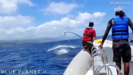 Sperm Whale Cam: Blue Planet II Behind The Scenes
