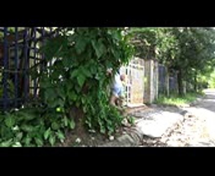 BAD BABY & BAD ALIEN PRANK Johny Johny Yes Papa Song Nursery Rhymes Song & Learn Colors for Children