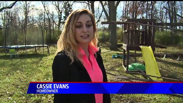 Family Claims City-Owned Trees Keep Falling on Their Home