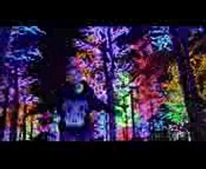 Feduk & Allj - Розовое вино (Official Video)