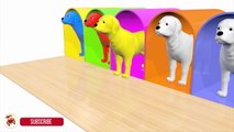 Learn Colors With Animals Puppy Dogs Surprise Eggs Lollipop for Kids - Sounds Animals For Children
