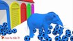 Learn Colors With Soccer Balls Elephant Animal for Children - Cartoon Nursery Rhymes for Children