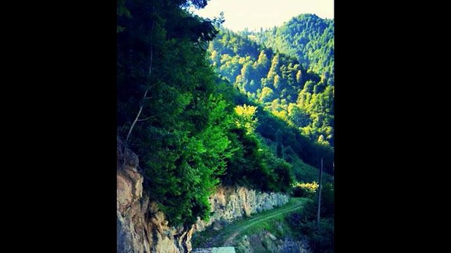 Arsin Üçpınar Köyü