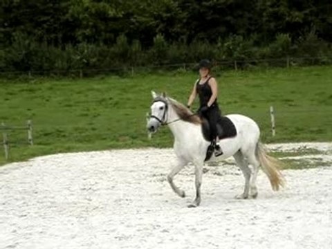 Galop c'était bien parti equitation