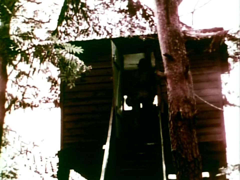 Pershing Missile_ Seventh Army Blackjack 1967