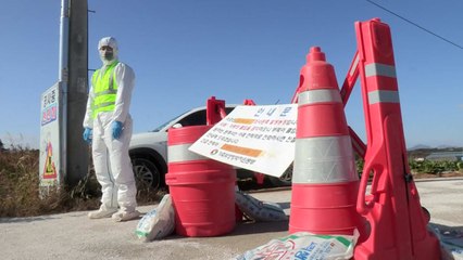 [취재N팩트] AI 확산, 올림픽 비상...강원도는 '수매 도태' / YTN